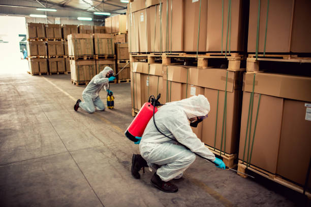Best Best Pest Control Companies  in Ecorse, MI