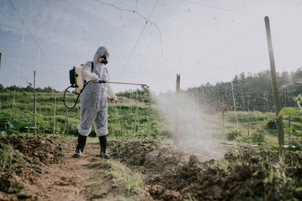 Best Local Pest Control Services  in Ecorse, MI