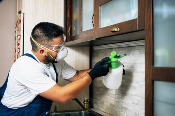 Best Residential Pest Control  in Ecorse, MI