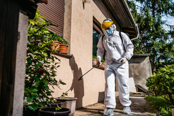 Best Termite Control Services  in Ecorse, MI