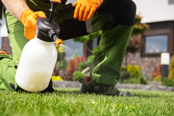 Best Pest Control Near Me  in Ecorse, MI