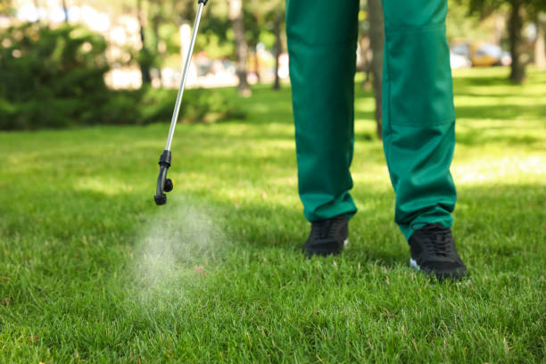Wasp Removal Services in Ecorse, MI