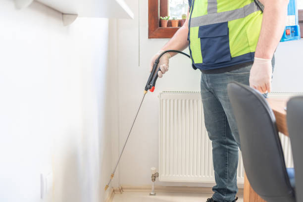 Best Wasp Removal Services  in Ecorse, MI