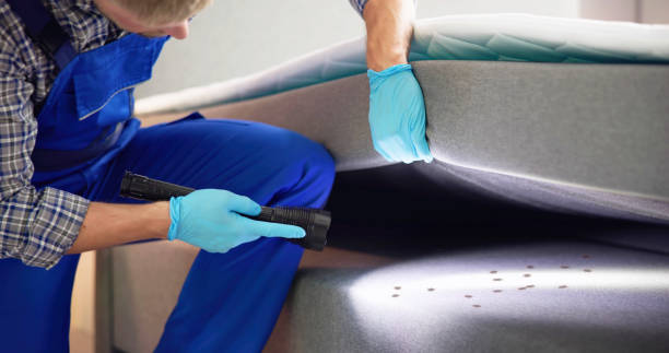 Best Affordable Pest Control Services  in Ecorse, MI