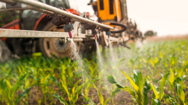 Best Ant Control Services  in Ecorse, MI